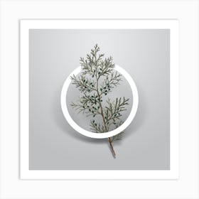 Vintage Virginian Juniper Minimalist Flower Geometric Circle on Soft Gray n.0034 Art Print