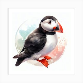 Bird Puffin 2 Art Print