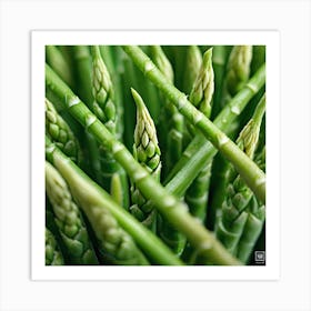 Green Asparagus 1 Art Print