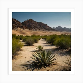 Desert - Desert Stock Videos & Royalty-Free Footage Art Print