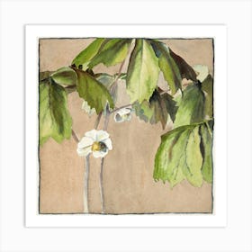 Flowers Of The Cypress Art Print