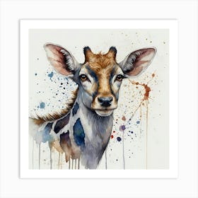 Antelope Art Print