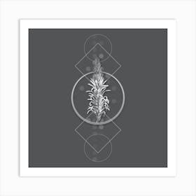 Vintage Pitcairnia Latifolia Botanical with Line Motif and Dot Pattern in Ghost Gray n.0076 Art Print