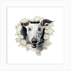 Greyhound Dog Art Print