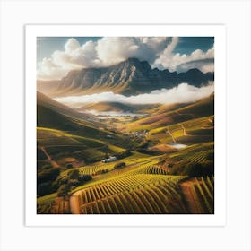 Sunset Over Vineyards In South Africa Art Print