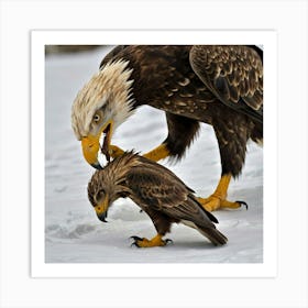 Bald Eagle And Chick Art Print