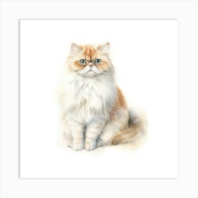 British Longhair Persian Cat Portrait 1 Art Print