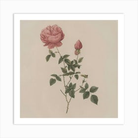 Roses On A Branch 3 Art Print