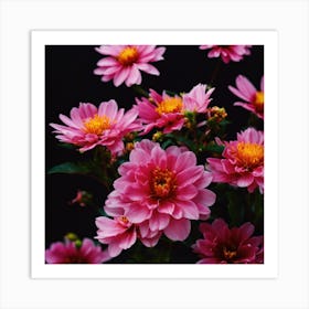 Pink Dahlias Art Print