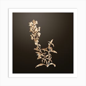 Gold Botanical Red Dragon Flowers on Chocolate Brown Art Print