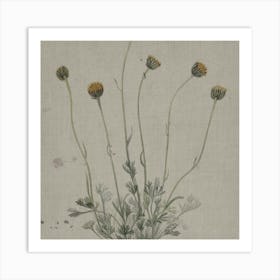 Thistles Art Print