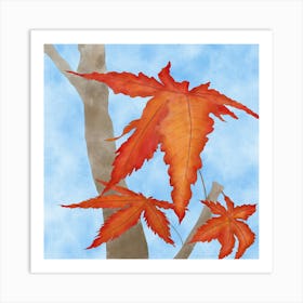 Japanese Maple Leaves Art Print