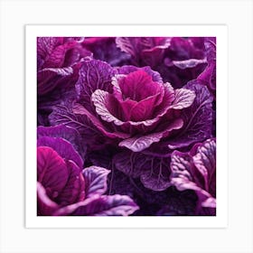 Purple Cabbage Flowers Art Print