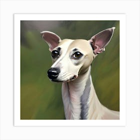 Whippet dog Art Print