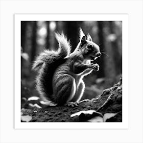 Squirrel In Forest Black And White Still Digital Art Perfect Composition Beautiful Detailed Intr (3) Art Print