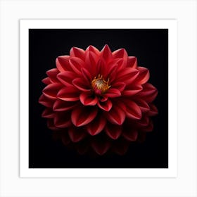 Red Dahlia Flower Art Print