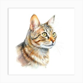 Seychellois Cat Portrait 1 Art Print