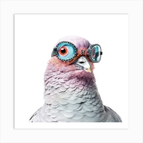 Pigeon With Goggles Art Print