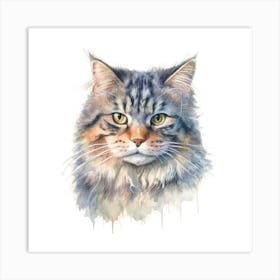 Pallass Cat Portrait Art Print