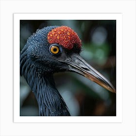 Black Stork Art Print