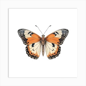 Butterfly 13 Art Print