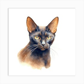 Bombay Chocolate Cat Portrait 3 Art Print