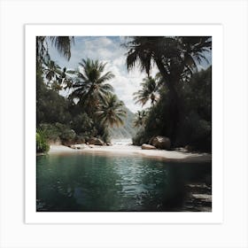 Tropical Beach - Tropical Beach Stock Videos & Royalty-Free Footage Art Print