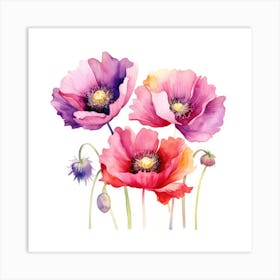 Watercolor Poppies 4 Art Print