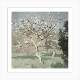 Apple Blossoms 2 Art Print