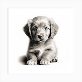 Puppy Drawing Art Print