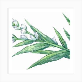 Lily Of The Valley 2 Art Print