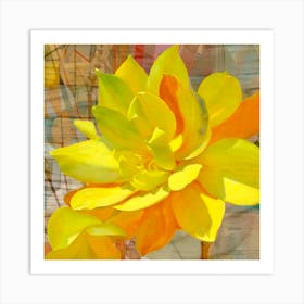 Yellow Lotus Art Print