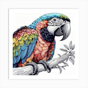 Line Art Ara parrot 2 Art Print