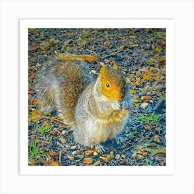 Squirrel Art Print