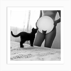 Cat In The Mirror 1 Art Print