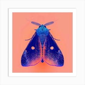 Blue Moth Art Print