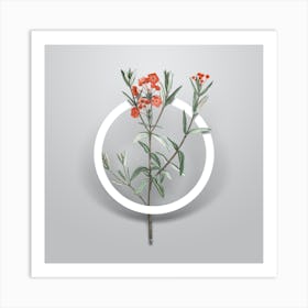 Vintage Bog Laurel Bloom Minimalist Botanical Geometric Circle on Soft Gray n.0074 Art Print