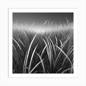 Black And White Grass 1 Art Print