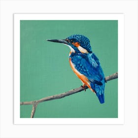 Kingfisher SB Art Print