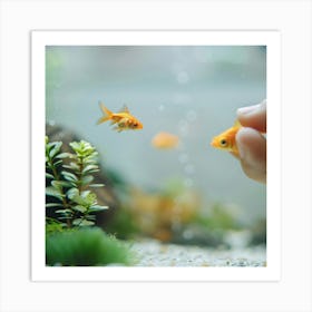 Goldfish and Finger Art Print