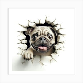 Pug Peeking Through A Hole 2 Art Print