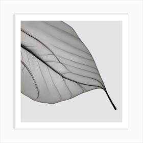 Leaf black and white Art Print