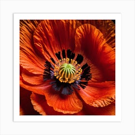 Ethereal poppy flower 6 Art Print