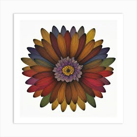 Gerbera Daisy Art Print