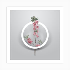 Vintage February Daphne Flowers Minimalist Floral Geometric Circle on Soft Gray Art Print