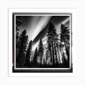 Black And White Forest Art Print