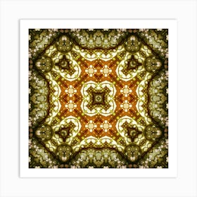 Kaleidoscope 2 Art Print