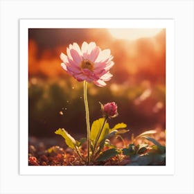 Pink Flower At Sunset 2 Art Print