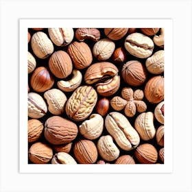 Walnuts And Hazelnuts 1 Art Print