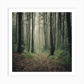 Foggy Forest Path 3 Art Print